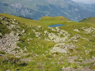 En prenant la direction de la Kleine Scheidegg