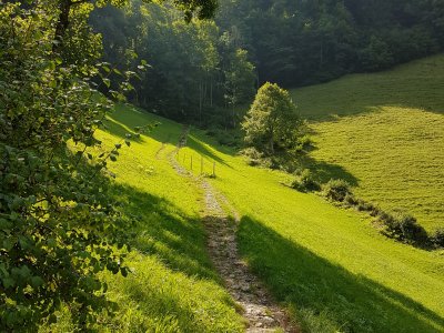 La descente vers la chapelle