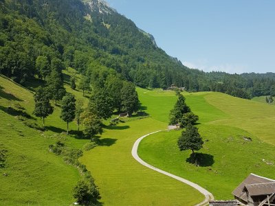 Suite du chemin
