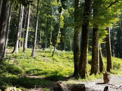 Lieu de pique-nique au Renggpass