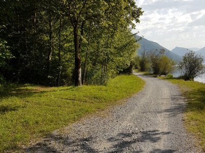 Chemin le long de l'Alpnachsee