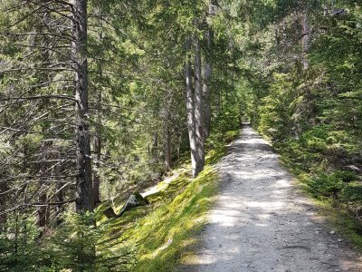 Sentier sur la Crête de Saleinaz