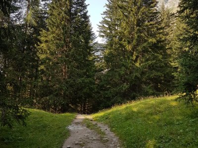 Chemin facile