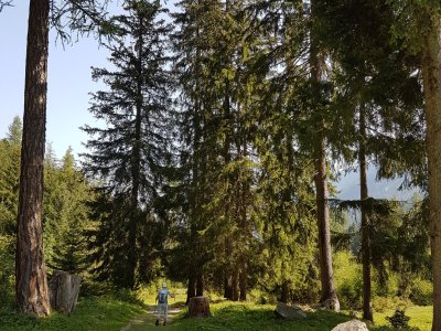 Sentier bucolique