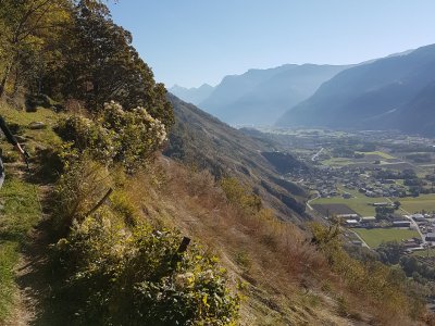 Vallée du Rhône