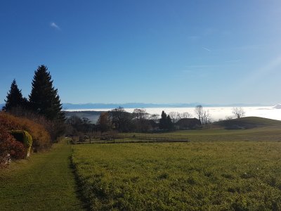La mer de brouillard et les Alpes depuis Nods