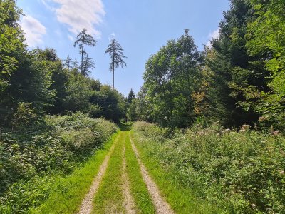 <p>Avant de grimper vers le Château.</p>