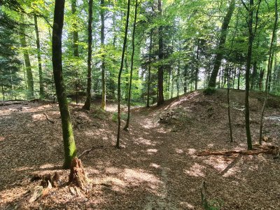 <p>Le Tumulus datant de l'âge de fer.</p>