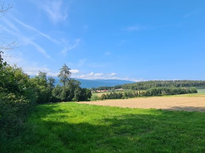 <p>Vue sur le <i>Seeland</i>.</p>