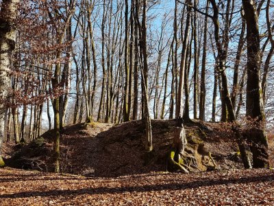 Près de l'Altisberg