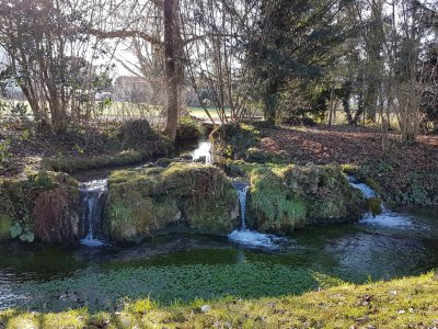 Parc du château