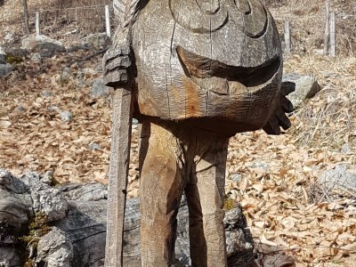 Récolte des châtaignes taillée dans un vieux tronc