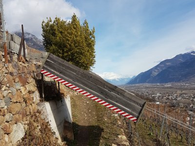 Toboggan à raisin