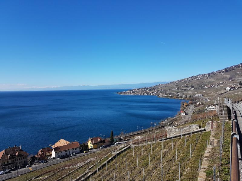 Le Lavaux de St-Saphorin à Lutry