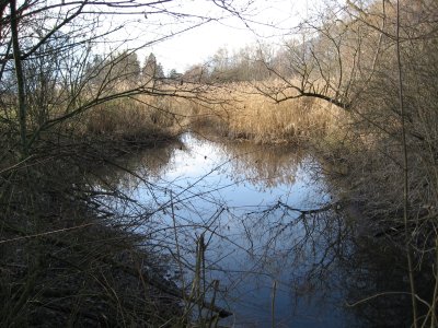 Marais