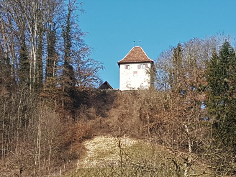 Kyburg-Buchegg  -   Büren an der Aare