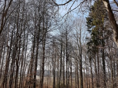 Le chemin facile