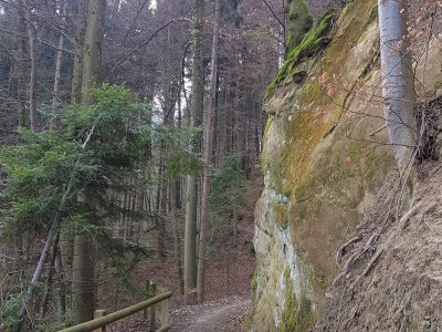 Le sentier