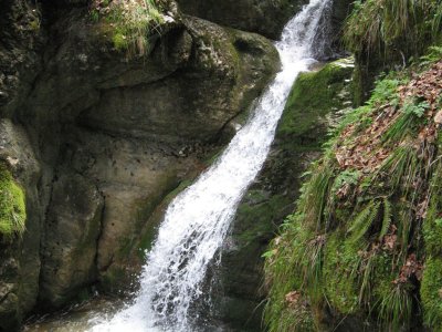 Cascade