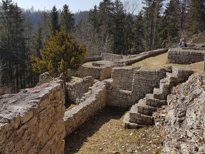 De Frick à Wittnau par la ruine Alt-Tierstein