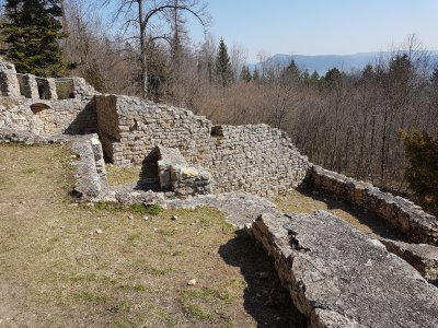 Burgruine Alt Tierstein