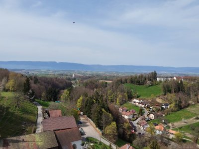 Magnifique vue depuis le haut de la tour