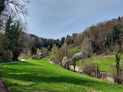 Peu après le début de la balade