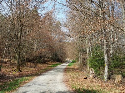 Le chemin