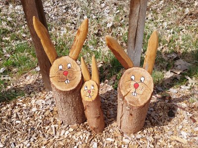 Une famille de lapins