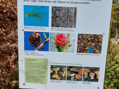 Un panneau explicatif
