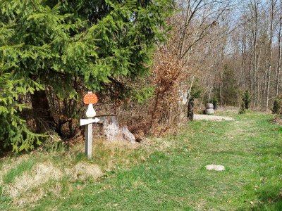 Le sentier est indiqué par des champignons
