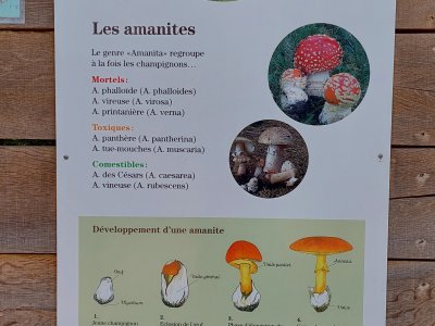 Un panneau didactique
