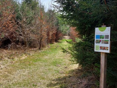 Le chemin, à découvert