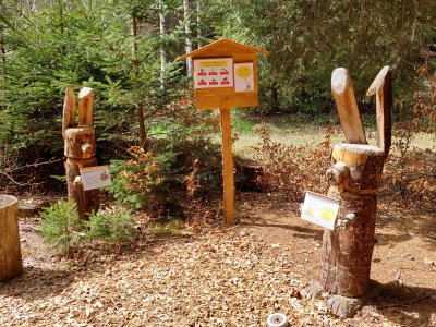Le sentier mycologique didactique est très joli et bien entretenu