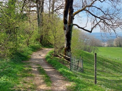 Après la chapelle, sur le chemin du retour