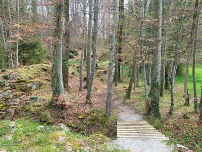 Passerelle en bois
