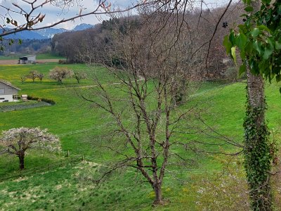Vue depuis les ruines du château