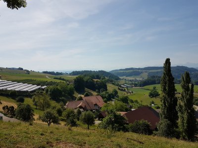 <p>Flugbrunnen<br></p>