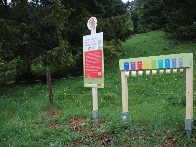 Sentier Découverte - Léa et Ben chez les vaches allaitantes