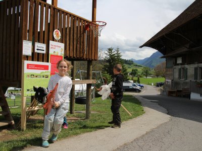 Diversité des races: Découvre les différentes races de vaches allaitantes