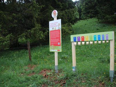Pourquoi certaines vaches portent-elles des cloches ?