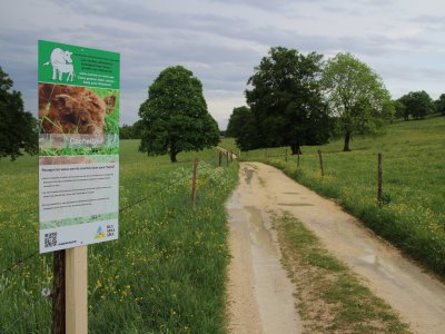 Des panneaux didactiques indiquent comment se comporter vis-à-vis du bétail bovin en promenade