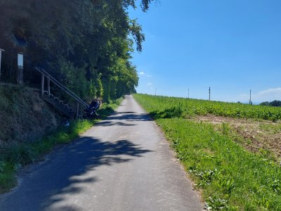 Poste 1: Focus - La vue