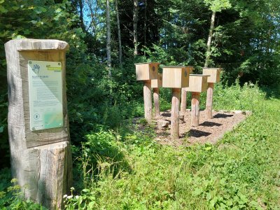 Poste 2: Une question de doigté - Le toucher