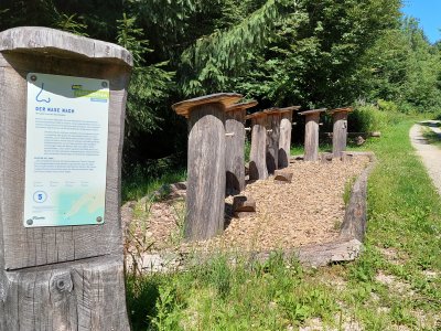 Poste 5: Au pif - L'odorat