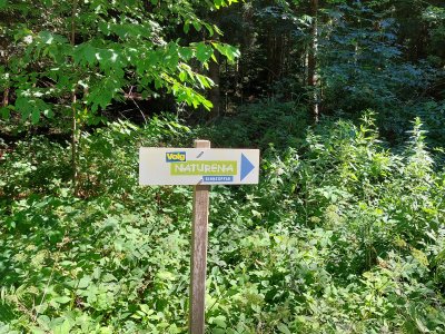 Le sentier est bien indiqué: suivez les flèches!