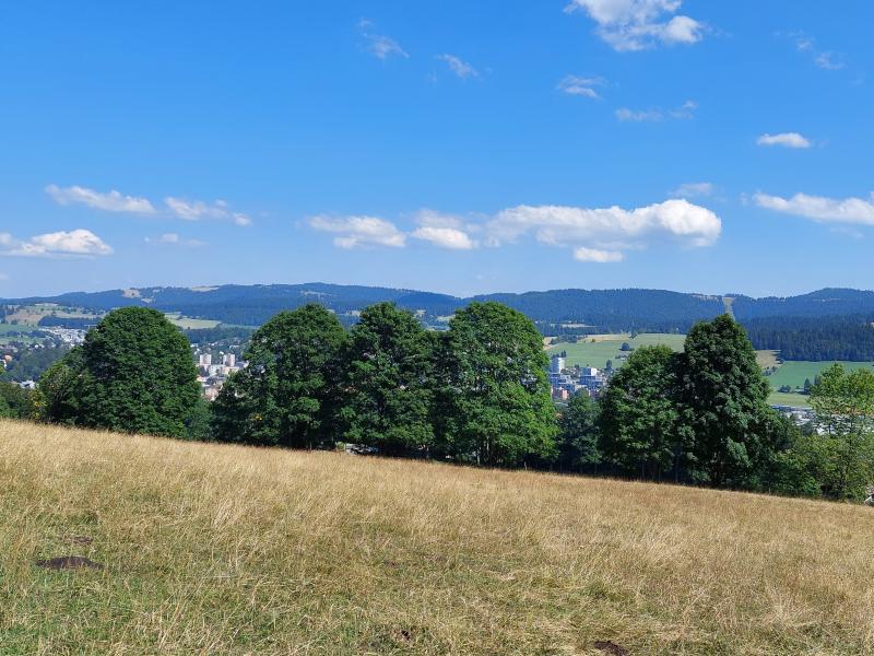ECOsentier