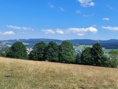La vue sur La Chaux-de-Fonds