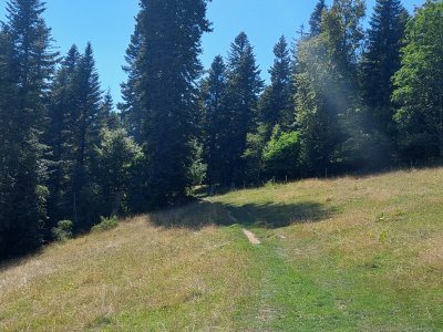 En début de balade, ça grimpe!