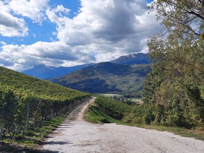 En montant en direction du bisse de Ricard